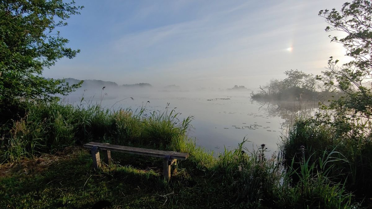 20200526_065000_HDR (2)_1200x675